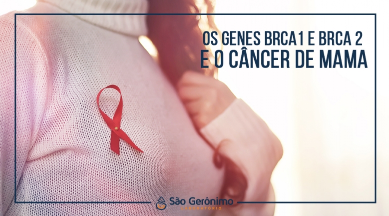 Os genes BRCA1 e BRCA2 e o câncer de mama