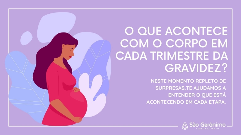 O que acontece com o corpo da mulher em cada trimestre da gravidez?